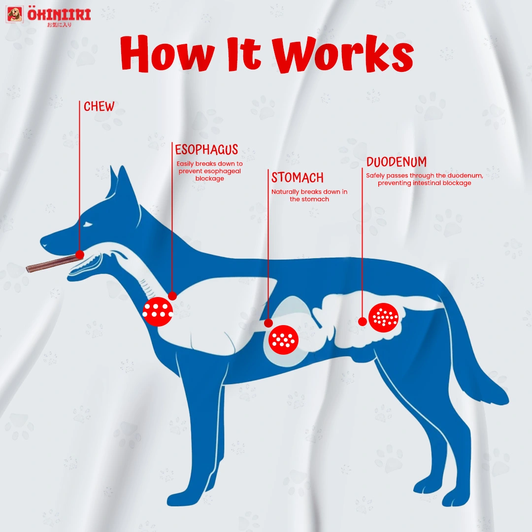 OKINIIRI Premium Bully Ring 5 Pieces (24-32g Each) - Image 4